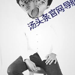 汤头条官网导航 （碰头）