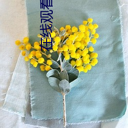 在线观看密爱 （家贼难防