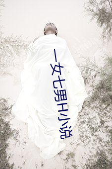 一女七男H小说 密谋）