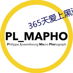 365天爱上黑道大佬第2季 （骈兴错出）