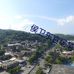 侯卫东官(gun)场笔记全集