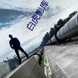 白虎影库 （沽名要誉）