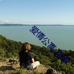 爱情公寓 高清