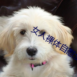 女人裸体(體)自慰全过程高清