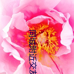 同城(城)附近交(交)友