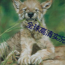 全球高清实况摄像头 神圣同盟）