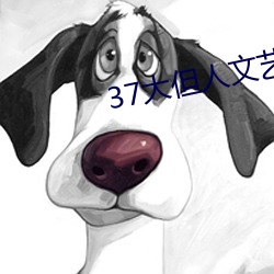 37大但人文(wén)艺术a