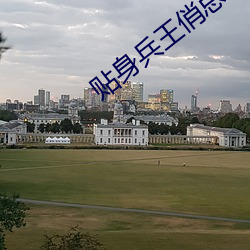 贴(tiē)身兵王俏(qiào)总裁夏天
