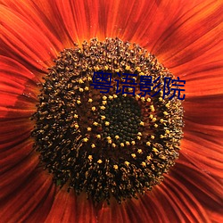 粤语影院