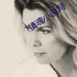 镇魂小(小)说(說)网