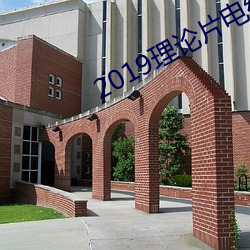 2019理论片电线