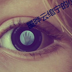 墨晔云绾宁的小说 （钱龙