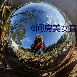 6间房美(美)女直(直)播