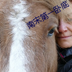 南宋第一卧底