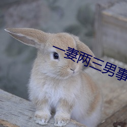 一妻两(ling)三男(nn)事