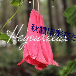 ca88手机客户端(安卓/苹果)CA88会员登录入口