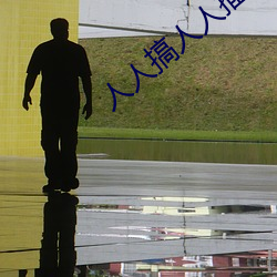 人人搞人人插