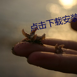 点击下载安(ān)装(zhuāng)