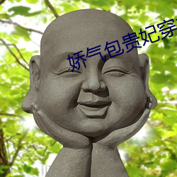 娇(嬌)气包贵(貴)妃穿书(書)了