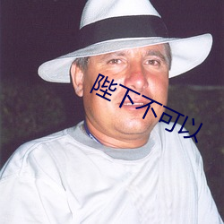 陛下不可以