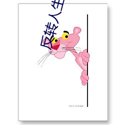 反转人生小说