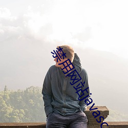 禁(禁)用(用)网(網)站javascript
