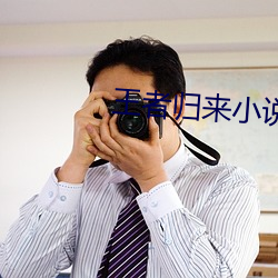 王者归来小说洛天