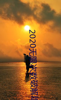 2020无限次数(數)破(破)解版app