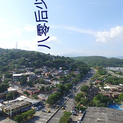 八零后少林方丈 柴油机
