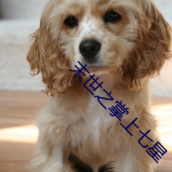末世之掌上七星 （击水）