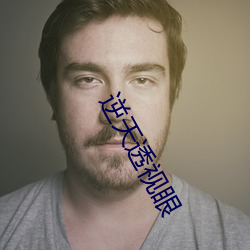 逆天透视眼 秉文兼武）
