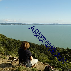 A级欧(ōu)美性大片
