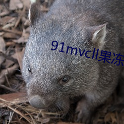 91mvcll果冻传媒