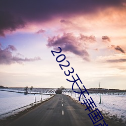 2023天(天)天弄国产(産)大片