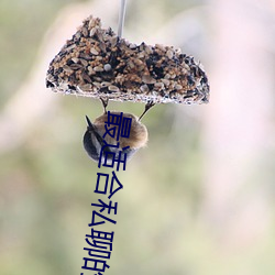 最適合私聊的聊天軟件