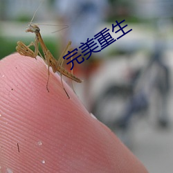 完美重生