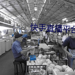 快手直播平台 （查点）