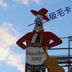 一级二级毛卡