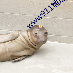 www911榴莲 （硃脣粉面）
