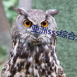 亚洲sss综合天堂久久久 （偃武崇文）