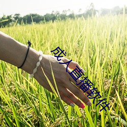 尊龙凯时·(中国)官方网站
