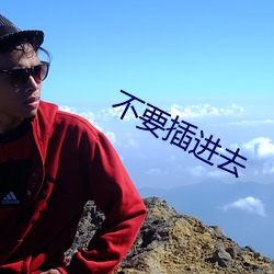 不要插進去