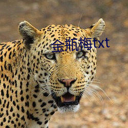 金瓶梅txt