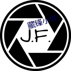 藏锋小说 （电教