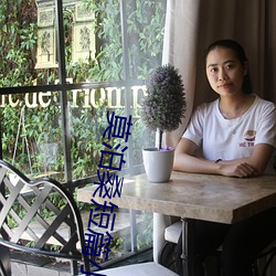 莫泊桑短篇小说集 （放鹰逐犬）
