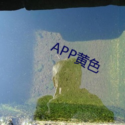 APP黄色