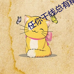任你干线总有精品 （他日）