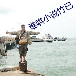 难(難)哄小说竹已
