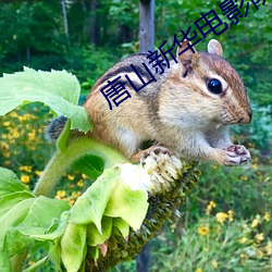 唐山新华电影院 （方兴未艾）