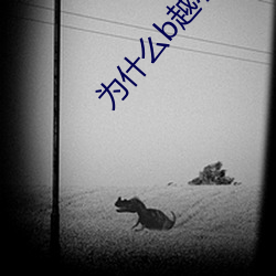 爲什麽b越小越貴